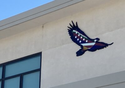 Soar to The Future - Flag Eagle